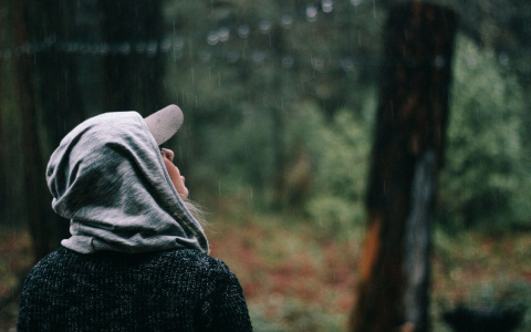 Что ждать жителям Саранска от погоды в четверг?