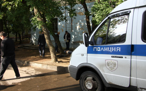 В Саранске на обочине дороги найден череп мужчины