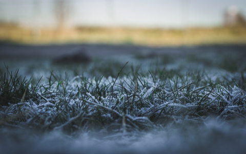 В Мордовии вновь ожидаются заморозки