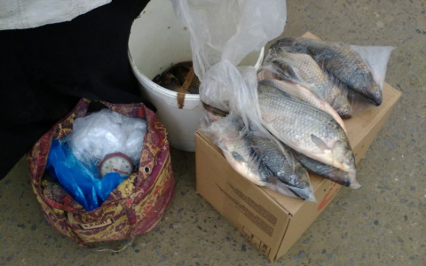 У саранских рынков торговали карасями сомнительного качества