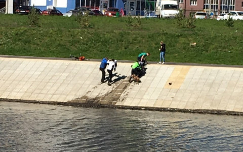 В Саранске коляска с ребенком съехала в реку