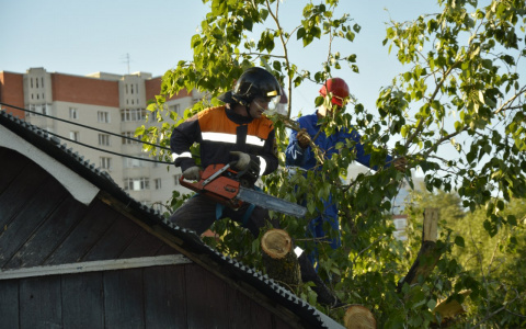 Ураган в Саранске: поваленные деревья, снесенные крыши и пожар из-за удара молнии 