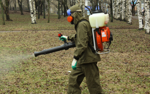 В Саранске места массового отдыха и парки обработают от клещей, грызунов и комаров