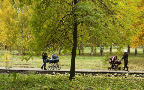 Россиянам хотят добавить еще один выходной день