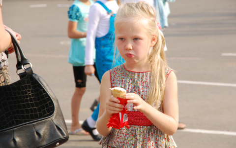 В Мордовии запущено производство местного мороженого