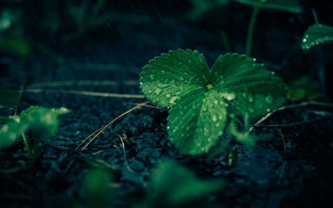 Что ждать жителям Саранска от погоды в воскресенье?