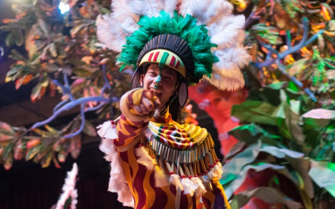 16 июня перед матчем ЧМ-2018 в Саранске пройдет карнавальное шествие