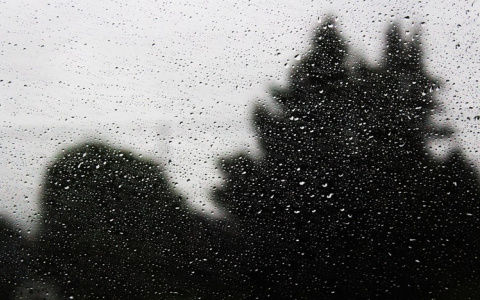 Что ждать жителям Саранска от погоды в среду?