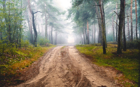 Что ждать жителям Саранска от погоды в понедельник?