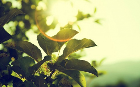 Что ждать жителям Саранска от погоды в пятницу?