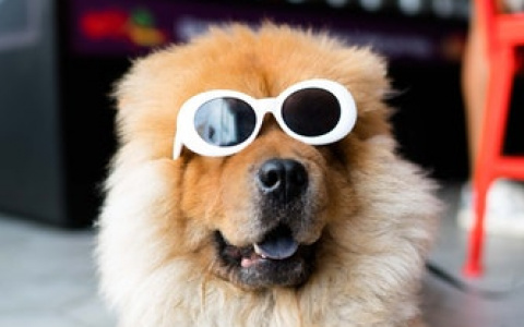 Что ждать жителям Саранска от погоды в среду?