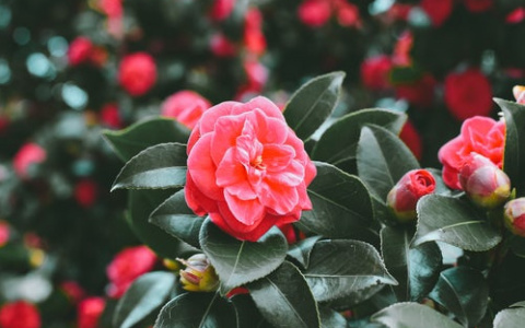 Что ждать жителям Саранска от погоды в пятницу?