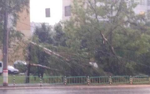 Следственный комитет Мордовии проверяет информацию о людях, пострадавших во время урагана