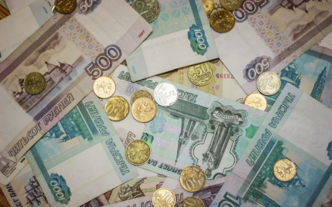 В Мордовии организация задолжала 43 сотрудникам почти миллион рублей