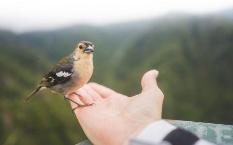 Что ждать жителям Саранска от погоды в четверг?