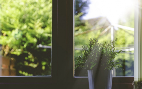 Что ждать жителям Саранска от погоды в понедельник?