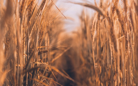 Что ждать жителям Саранска от погоды в среду?