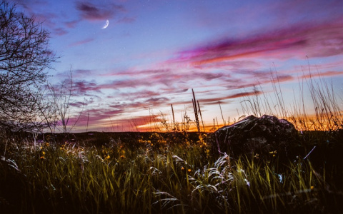 Что ждать жителям Саранска от погоды в четверг?