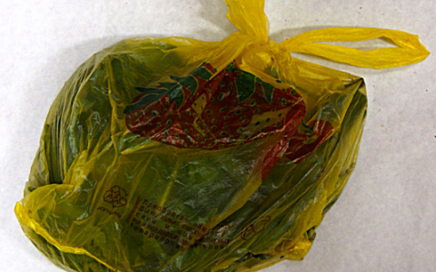 В Мордовии задержали мужчину, который прогуливался по берегу реки с пакетом растительного наркотика