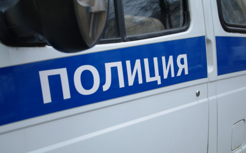 В Мордовии благодаря бдительной женщине задержали «домушников»