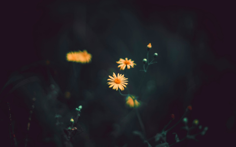 Что ждать жителям Саранска от погоды во вторник?