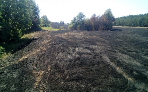 В Мордовии за три дня пожарные 56 раз тушили сухую траву и мусор