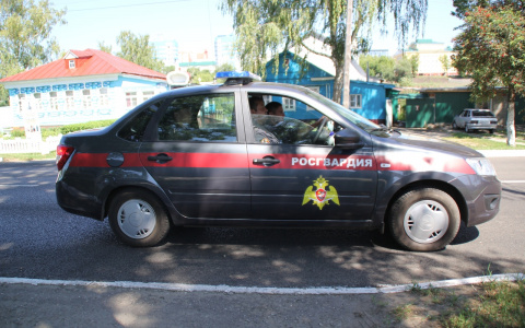 В Саранске задержали пьяного водителя