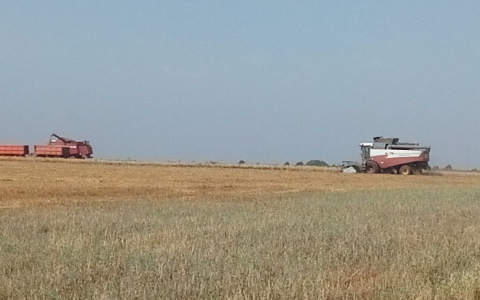 В Мордовии введен режим ЧС