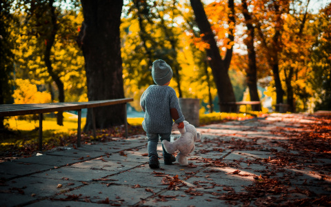 Что ждать жителям Саранска от погоды в четверг?