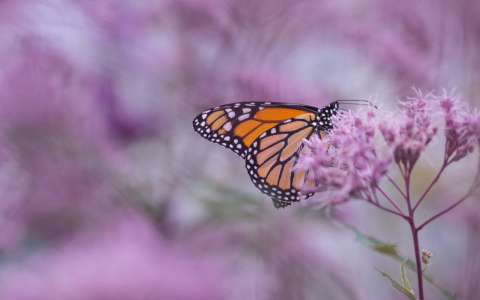 Что ждать жителям Саранска от погоды в воскресенье?