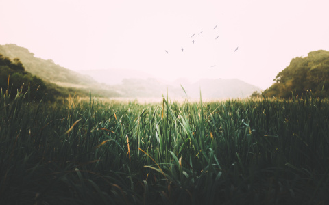 Что ждать жителям Саранска от погоды в понедельник?