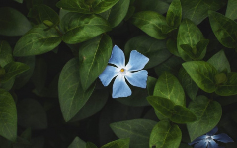 Что ждать жителям Саранска от погоды в четверг?