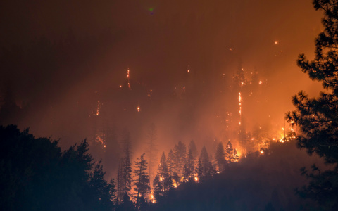 В Мордовии прогнозируется высокий уровень пожароопасности лесов