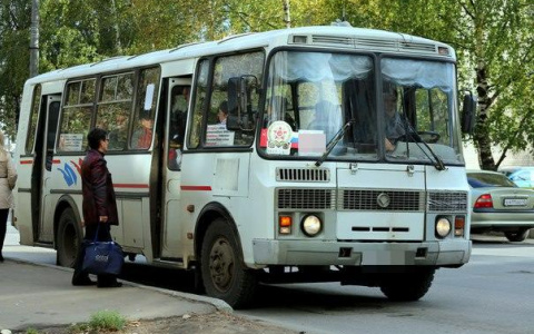 В Саранске в автобусе из-за резкого торможения упала пассажирка
