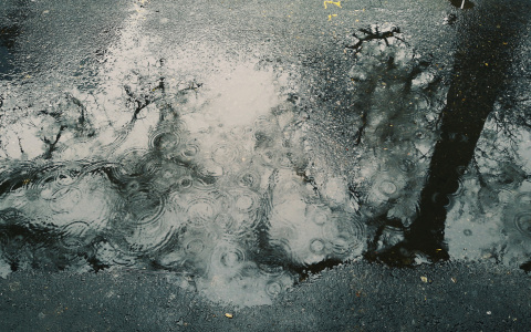 Что ждать жителям Саранска от погоды в пятницу?