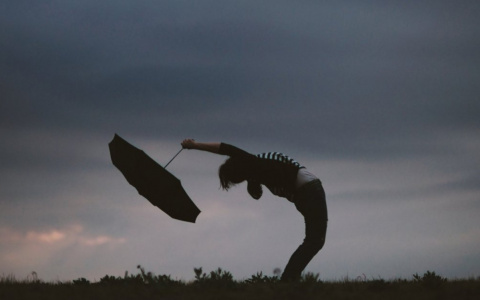 МЧС предупреждает жителей Мордовии о сильном ветре с порывами до 20 м/с