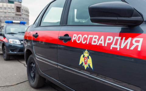 В столице Мордовии росгвардейцы задержали двоих мужчин, находящихся в розыске