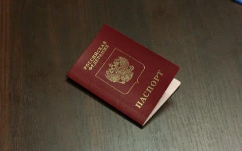 Брат Жерара Депардье приготовился получить гражданство России