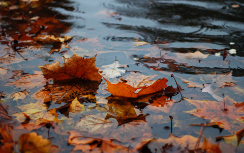 Что ждать жителям Саранска от погоды в субботу?