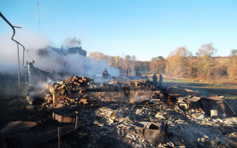 В Мордовии при пожарах погибли двое мужчин
