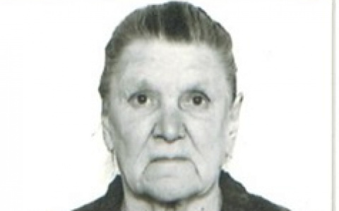 Ушла в лес и не вернулась: в Мордовии ищут 87-летнюю Анну Холодову
