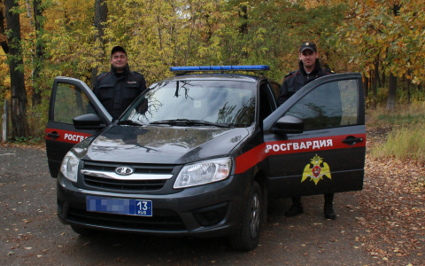 В Мордовии росгвардейцы задержали нетрезвого водителя