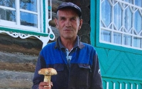 В Мордовии мужчина ушел за грибами и пропал