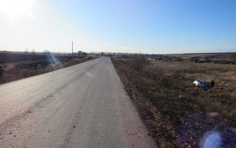 В Мордовии легковушка вылетела в кювет: три человека пострадали