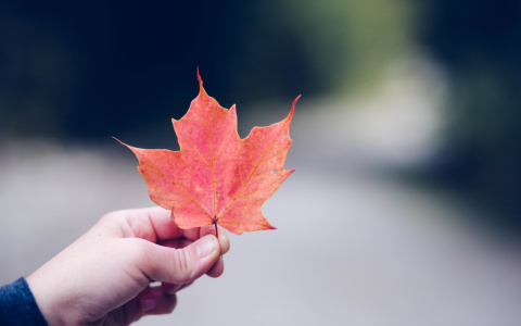 Что ждать жителям Саранска от погоды в субботу?