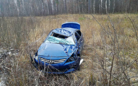 В Мордовии иномарка вылетела в кювет