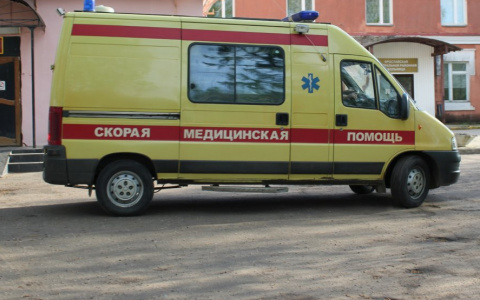 В Мордовии 8-летняя девочка оказалась в реанимации, решив перебежать проезжую часть