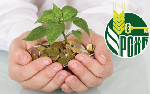 Россельхозбанк объявил финансовые результаты за 9 месяцев 2018 года по МСФО