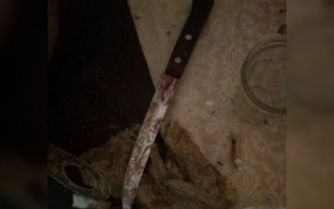 В Мордовии гость оскорбил хозяина дома и получил три ножевых ранения