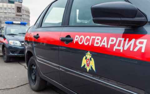 В Мордовии пьяный водитель врезался в бетонное ограждение, а потом пытался скрыться от стражей порядка